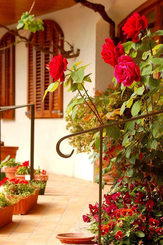 Hotel Antiga